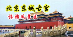 骚逼小妹中国北京-东城古宫旅游风景区